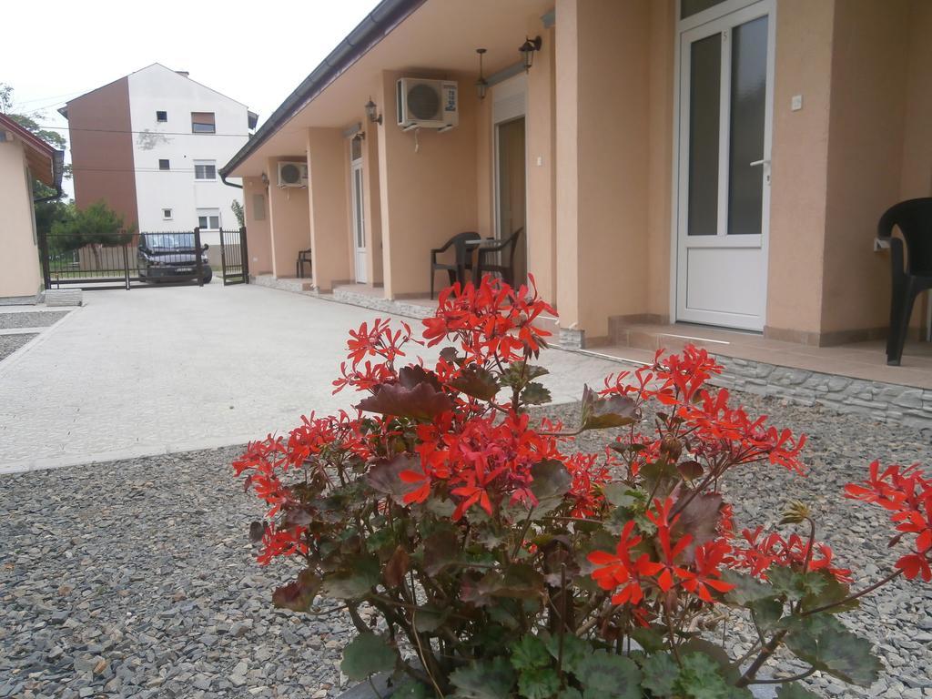 Apartments Svetlica Backi Petrovac Exterior photo