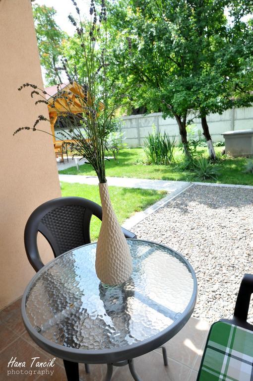 Apartments Svetlica Backi Petrovac Exterior photo